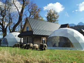 Glamp Iglo Siedlisko Kościelisko